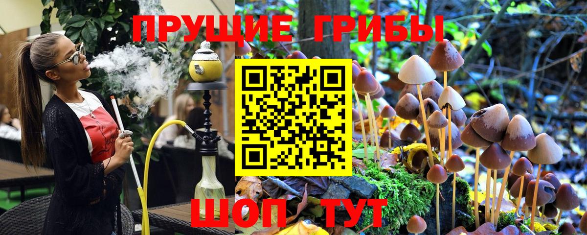 Псилоцибиновые грибы Cubensis Костомукша